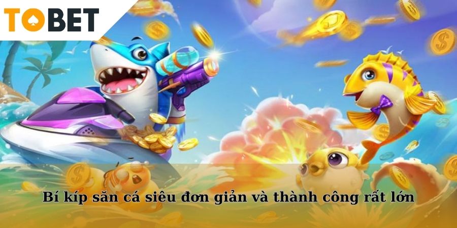 Bí kíp săn cá siêu đơn giản và thành công rất lớn